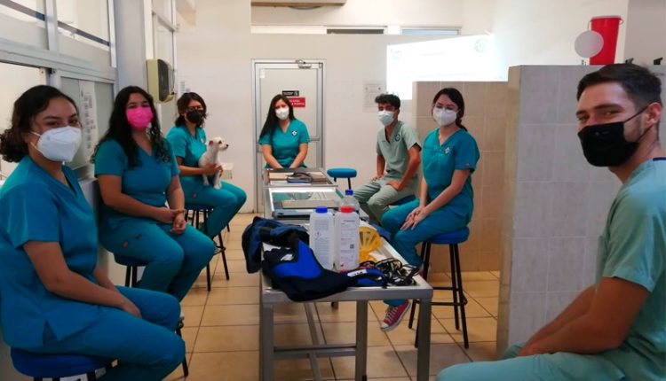 UABCS inicia con sus primeras prácticas académicas presenciales