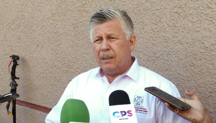 Titular de la Sepada