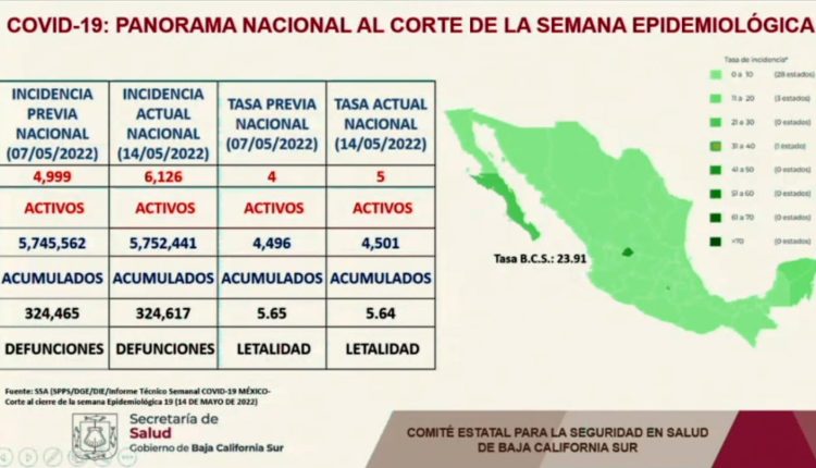 Casos covid-19 en BCS
