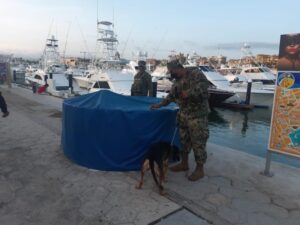 Anti-drug operations in Los Cabos