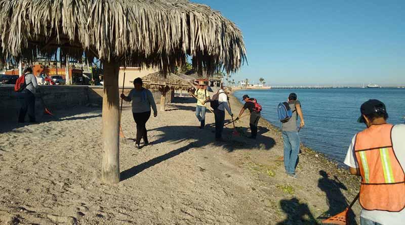 Servicios Públicos limpia playas de La Paz Servicios Públicos limpia playas de La Paz