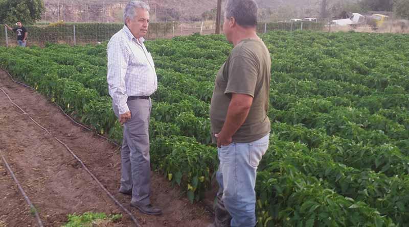 Atiende SEPADA a productores de toda la geografía estatal Atiende SEPADA a productores de toda la geografía estatal