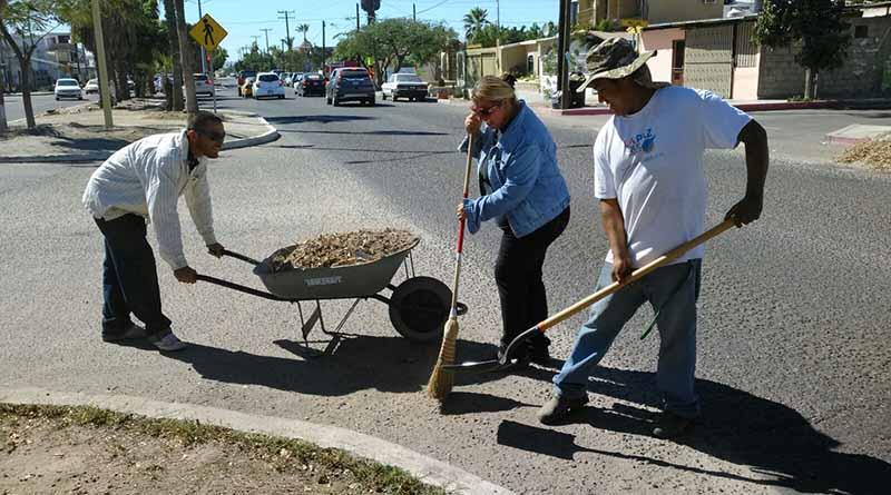 Trabaja Servicios Públicos en limpieza de boulevares Trabaja Servicios Públicos en limpieza de boulevares