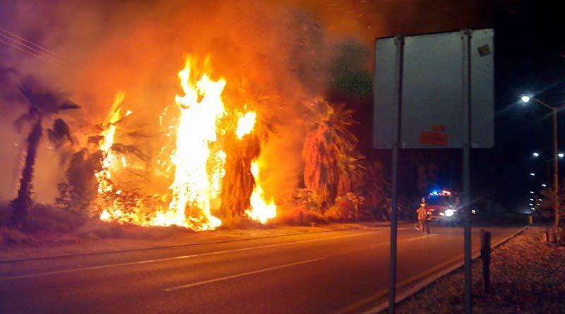 incendio dorado web Nuevo incendio de palmeras frente a El Dorado