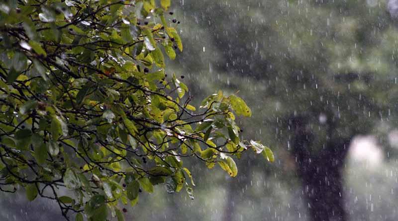 Los remanentes de Danielle provocarán más lluvia en centro del país Los remanentes de Danielle provocarán más lluvia en centro del país