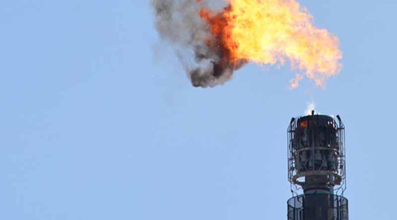 Profepa da seguimiento a medidas en complejo petroquímico Pajaritos Profepa da seguimiento a medidas en complejo petroquímico Pajaritos