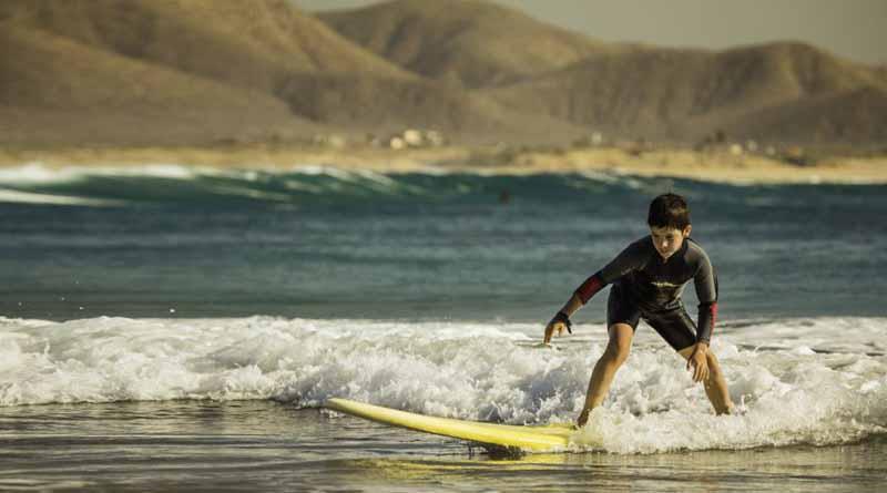 Playas de BCS tienen excelente calidad de agua para actividades recreativas: COEPRIS Playas de BCS tienen excelente calidad de agua para actividades recreativas: COEPRIS