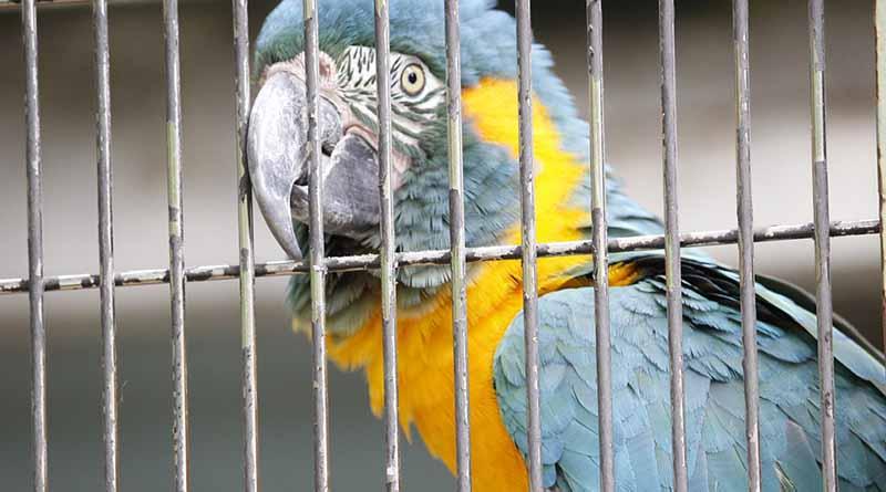 Profepa inspecciona los zoológicos en operación de todo el país Profepa inspecciona los zoológicos en operación de todo el país