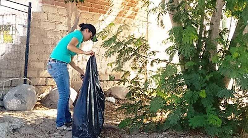 Funcionarios Se Suman a Trabajos de Limpieza Funcionarios Se Suman a Trabajos de Limpieza