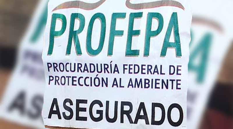 Autoridades ambientales clausuran tienda en zona federal marina Autoridades ambientales clausuran tienda en zona federal marina