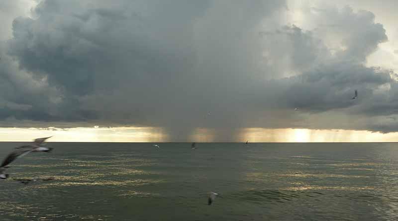 Onda tropical 15 dejará tormentas intensas en Veracruz, Oaxaca y Chiapas Onda tropical 15 dejará tormentas intensas en Veracruz, Oaxaca y Chiapas