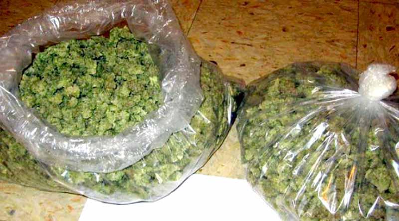 marihuana 12 julio 10 años de cárcel a sujeto que transportaba caja con droga en camión de pasajeros de La Paz a CSL