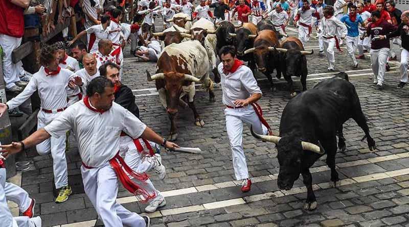 Vive Pamplona quinto encierro rápido y sin mozos corneados Vive Pamplona quinto encierro rápido y sin mozos corneados