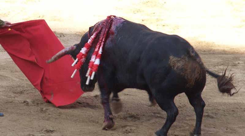 "El Zotoluco" se despide de forma triunfal de San Pedro Xalostoc "El Zotoluco" se despide de forma triunfal de San Pedro Xalostoc