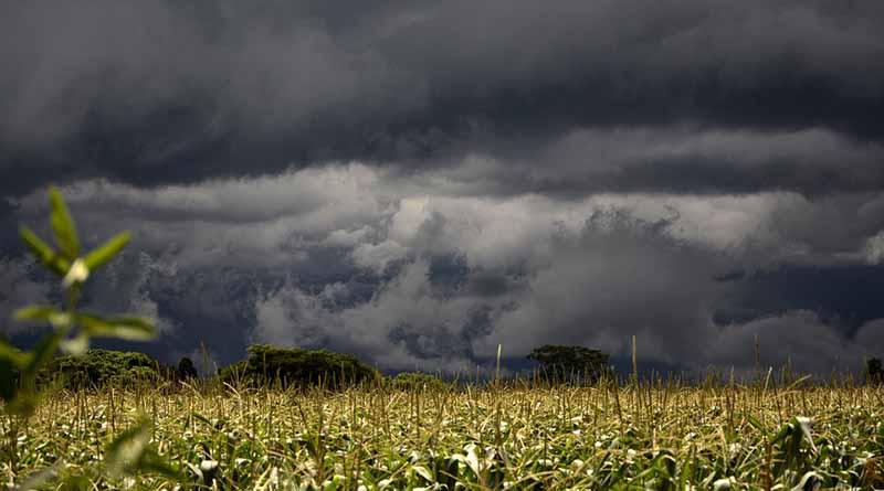 Tormenta Estelle causará clima nublado en occidente del país Tormenta Estelle causará clima nublado en occidente del país