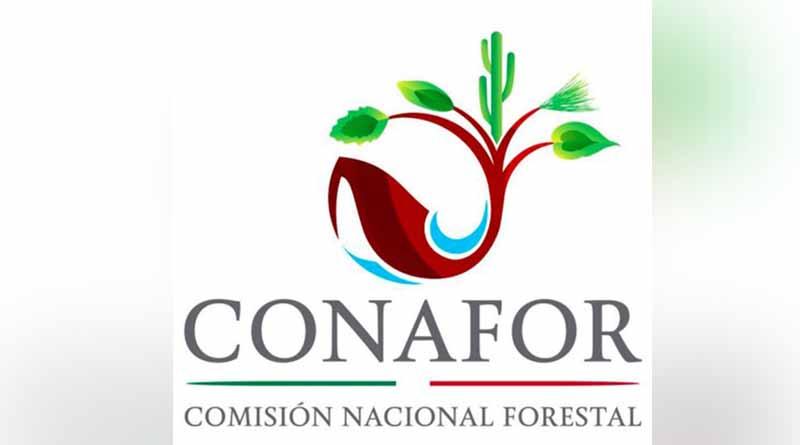 Crean cuarto centro de formación de técnicos forestales en el país Crean cuarto centro de formación de técnicos forestales en el país