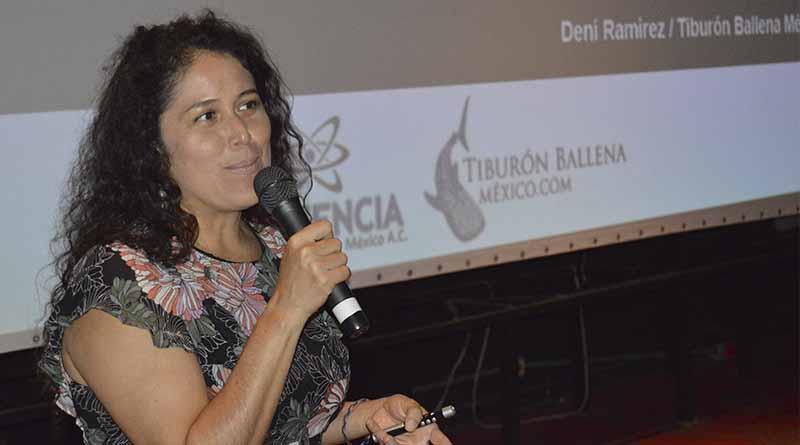 Han encontrado restos de pesticidas en piel de tiburón ballena Han encontrado restos de pesticidas en piel de tiburón ballena