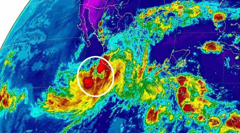 Se forma la tormenta tropical Newton, se ubica a 256 km de Manzanillo, Col Se forma la tormenta tropical Newton, se ubica a 256 km de Manzanillo, Col