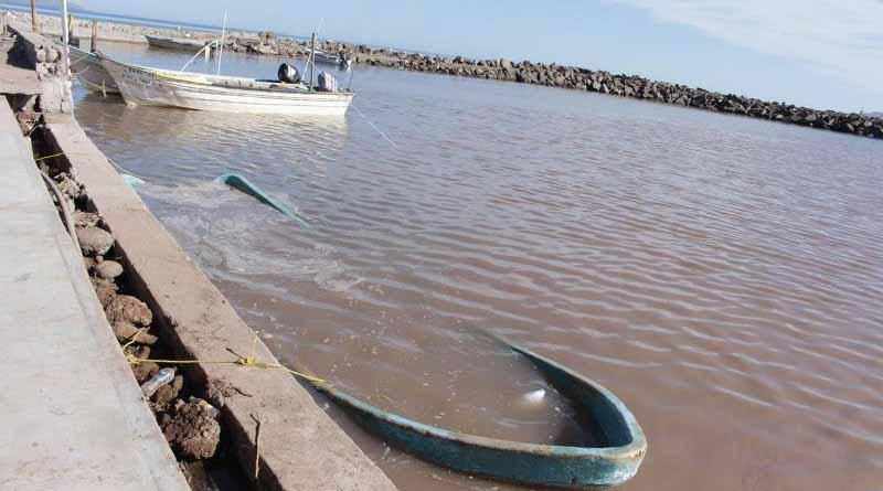 Pondrá SEDESO en marcha PET para pescadores del Golfo de California Pondrá SEDESO en marcha PET para pescadores del Golfo de California