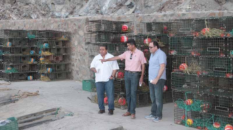 Encabeza ACU inicio de temporada de captura de langosta en zona I Encabeza ACU inicio de temporada de captura de langosta en zona I