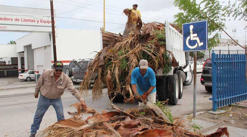 Después de newton, colabora SEPUIT con las labores de limpieza de calles Después de newton, colabora SEPUIT con las labores de limpieza de calles