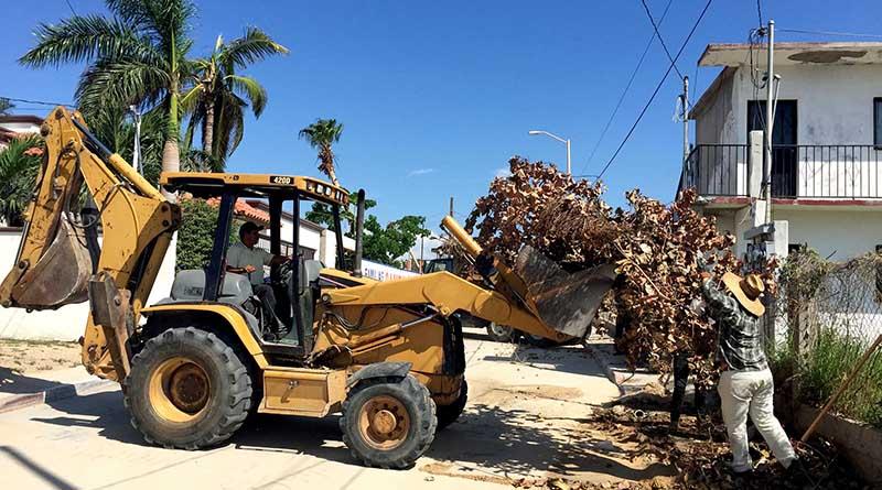 Restablece Gobierno Municipal el servicio de recolección de basura en un 80 por ciento Restablece Gobierno Municipal el servicio de recolección de basura en un 80 por ciento