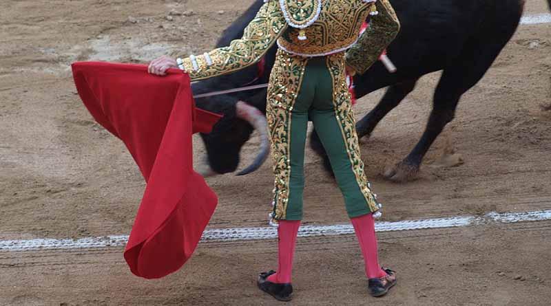 Mexicano Adame toma alternativa en Francia, con triunfo de dos orejas Mexicano Adame toma alternativa en Francia, con triunfo de dos orejas