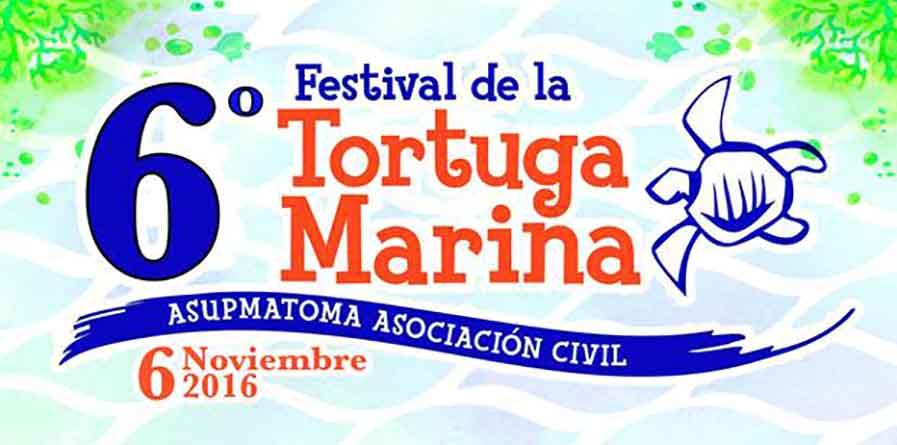 festivaltortugamarina ¡Celebremos a la tortuga Marina!