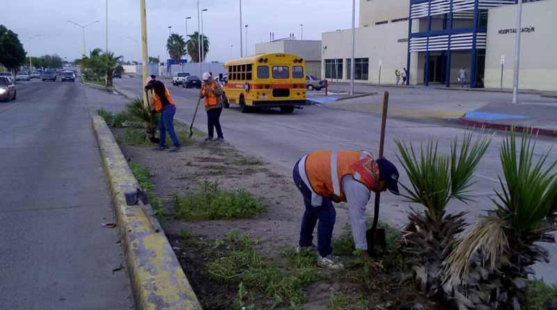 A un año de administración, Servicios Públicos intensifica sus acciones de limpieza, recolección de basura y alumbrado: Martin Guluarte Ceseña A un año de administración, Servicios Públicos intensifica sus acciones de limpieza, recolección de basura y alumbrado: Martin Guluarte Ceseña
