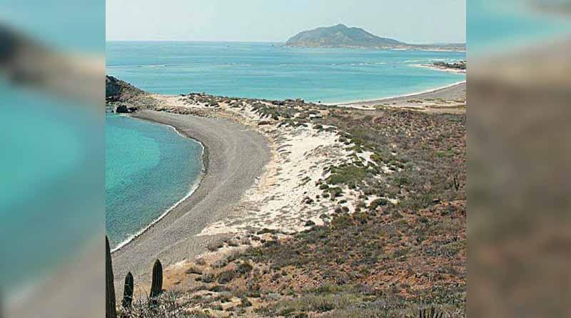 Falta vigilancia en Parque Nacional de Cabo Pulmo: habitantes Falta vigilancia en Parque Nacional de Cabo Pulmo: habitantes