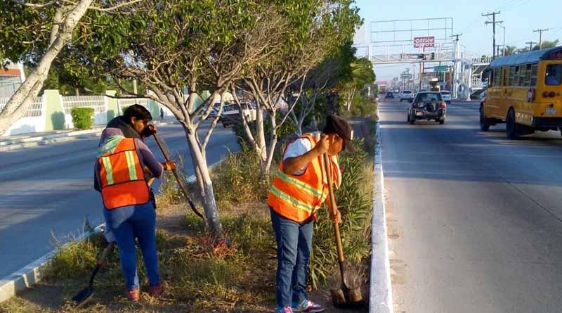 Mejor Imagen a Ciudad Constitución, Luce Más Limpia Mejor Imagen a Ciudad Constitución, Luce Más Limpia