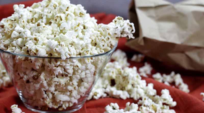 palomitas18nov En peligro de extinción el maíz palomero original