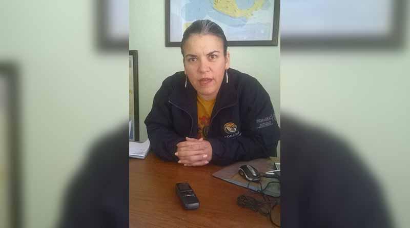 Rebasada ciertas zonas de la bahía de CSL por prestadores de servicios: Conanp Rebasada ciertas zonas de la bahía de CSL por prestadores de servicios: Conanp