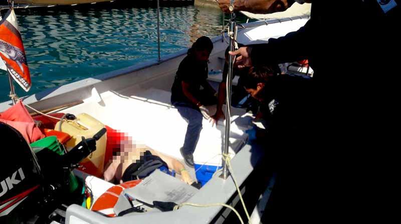 ahogado 15 dic 2 web Turista ahogado en La Paz mientras nadaba con tiburones ballena