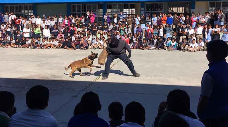 demostracioncanina Llevan a secundarias de CSL exhibición de Grupo Táctico Canino