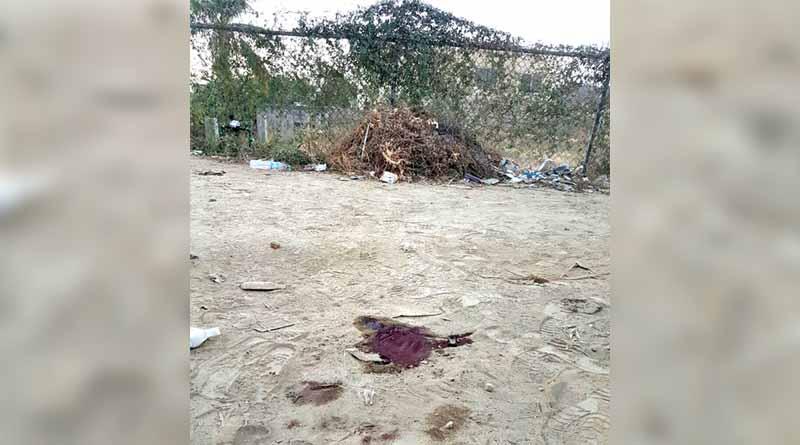 ejecutado 7 dic web Amanece San José del Cabo con ejecutado en Guaymitas