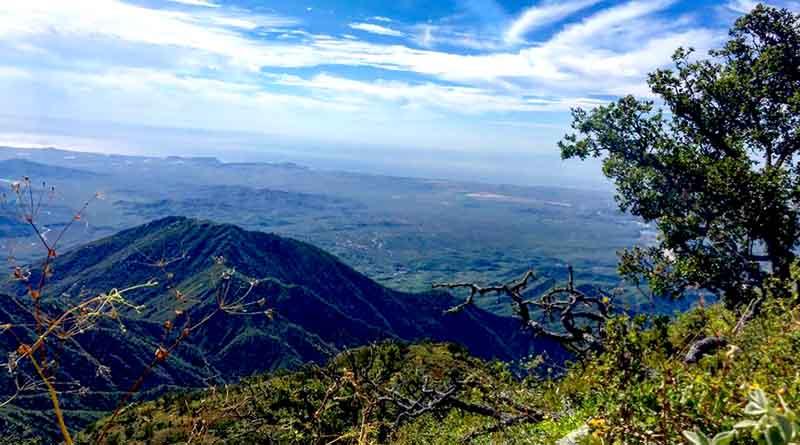 sierra 12 dic 2 Reportan cuatro lesionados por caída en barranco en la Sierra La Laguna