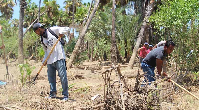 Se realizaron trabajos en conjunto con la comisión nacional forestal Se realizaron trabajos en conjunto con la comisión nacional forestal