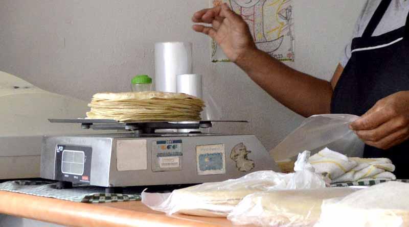 Silencioso aumento al precio de la tortilla; prevén tortillerías otra alza en 5 días: Tortillerías de CSL Silencioso aumento al precio de la tortilla; prevén tortillerías otra alza en 5 días: Tortillerías de CSL