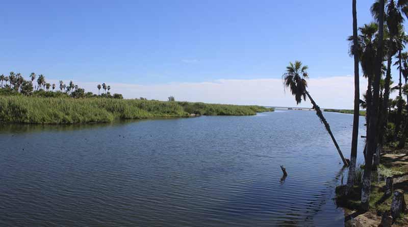 Estero, albergue de 200 especies de aves, hay mucho por qué cuidarlo y preservarlo, coinciden autoridades ambientales locales Estero, albergue de 200 especies de aves, hay mucho por qué cuidarlo y preservarlo, coinciden autoridades ambientales locales