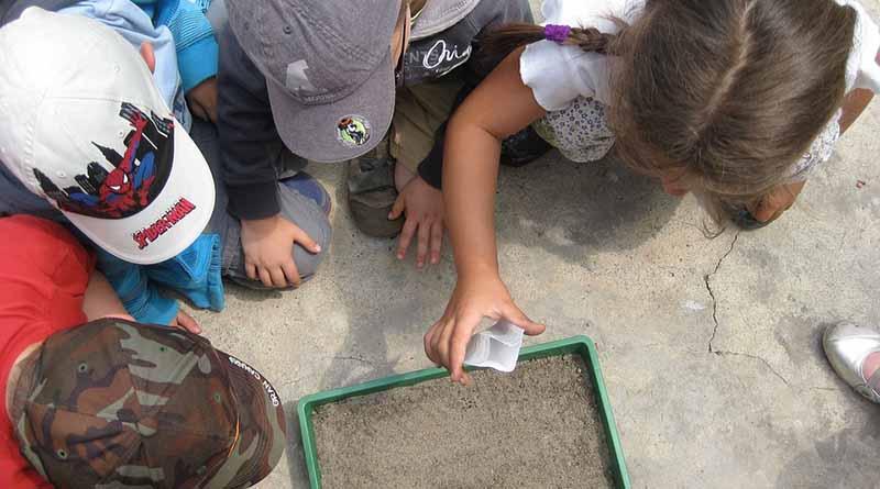 Este jueves se conmemora el Día Mundial de la Educación Ambiental Este jueves se conmemora el Día Mundial de la Educación Ambiental