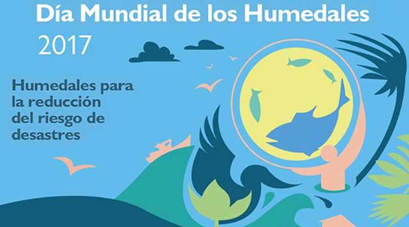 diadeloshumedalesconanp Área Natural Flora y Fauna CSL invita a celebrar el Día Mundial de Los Humedales