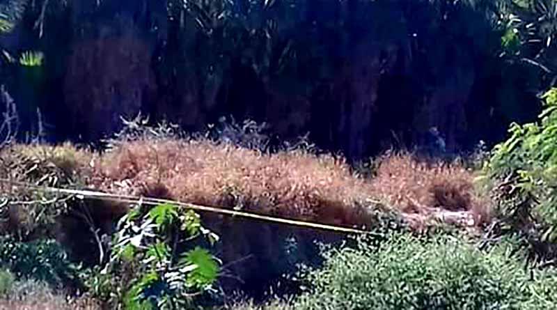 encobijado 5 ene web 2 Confirma PGJE localización de cuerpo embolsado en Hojazen de Cabo San Lucas