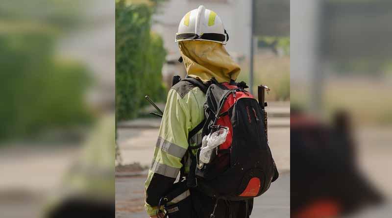 Brigadistas mexicanos llegan a Chile para ayudar a combatir incendios Brigadistas mexicanos llegan a Chile para ayudar a combatir incendios