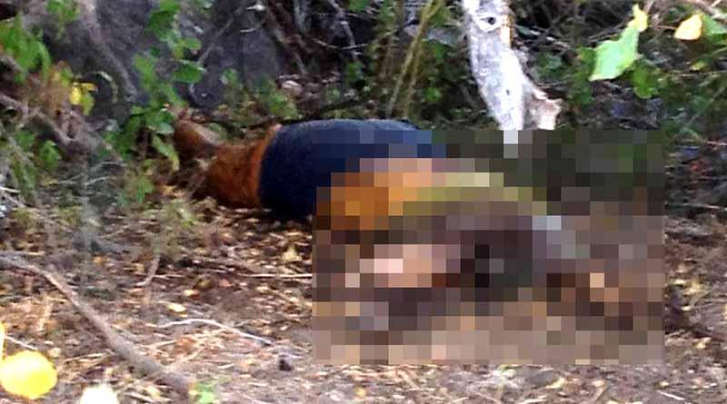 muerta 11 ene web Encuentran cuerpo de mujer en avanzado estado de descomposición en La Paz