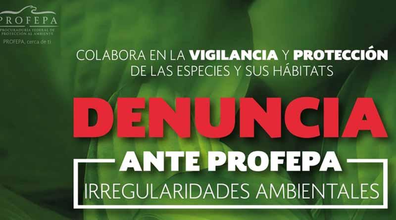 DENUCIAS Profepa impone multas en BCS por 24 mdp por infracciones a ley ambiental
