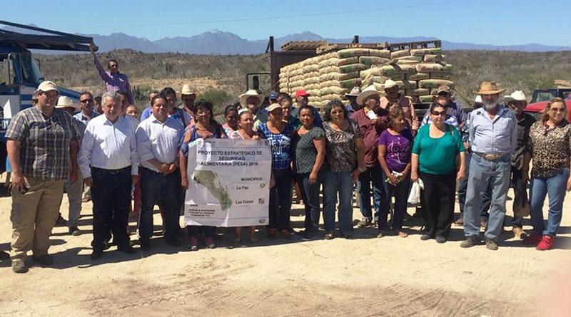 1.9 MDP del pesa 85 en beneficio de 174 productores agropecuarios de Los Cabos 1.9 MDP del pesa 85 en beneficio de 174 productores agropecuarios de Los Cabos