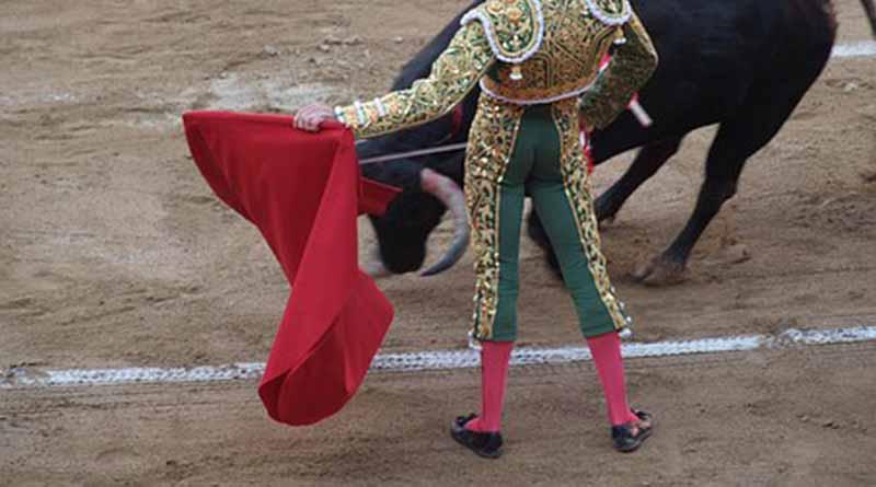 Ponce y Adame triunfan en corrida de plaza de toros La Macarena Ponce y Adame triunfan en corrida de plaza de toros La Macarena