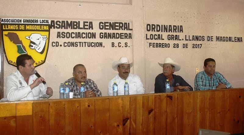 Gobierno Municipal, Gran Aliado del Sector Ganadero: ACE Gobierno Municipal, Gran Aliado del Sector Ganadero: ACE