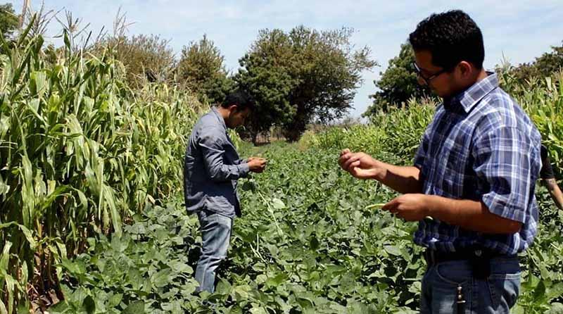 Congreso internacional empresas agropecuarias (1) UABCS será sede del Congreso Internacional de Administración de Empresas Agropecuarias en mayo